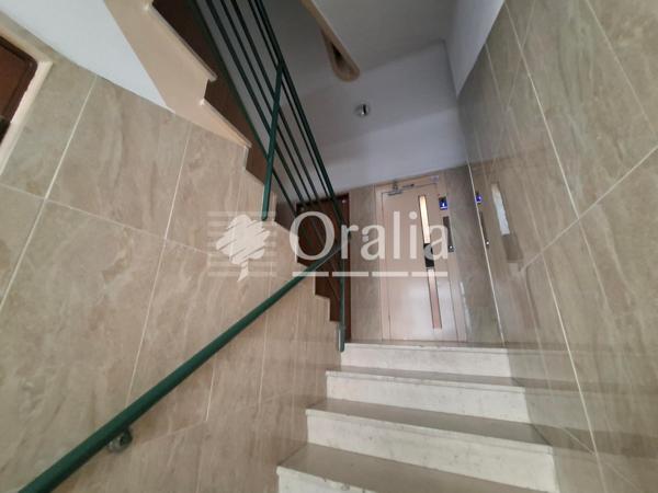 Appartement · Location Marseille (13005) 2 pièces · 36m²