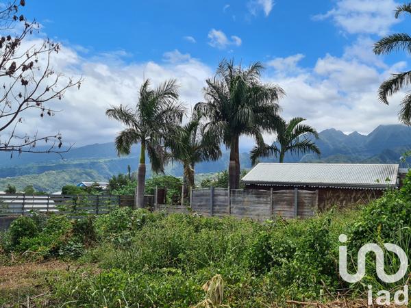 Terrain à vendre 400 m² Le Tampon