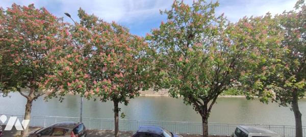 Spacieuse mancelle de 161 m² avec jardin donnant sur les quais 
