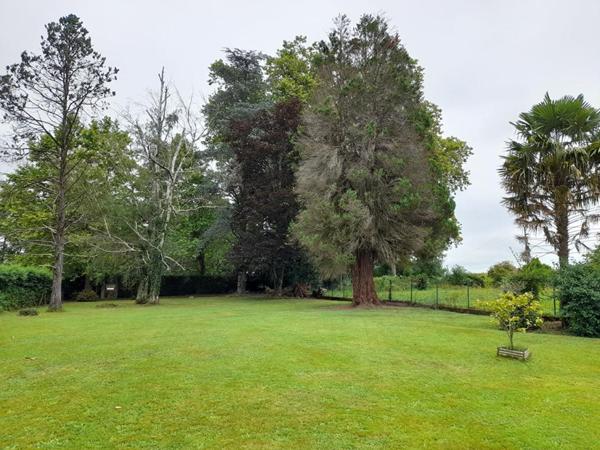 Terrain à bâtir