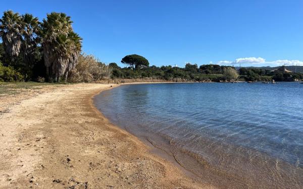 Appartement à vendre    5 pièces •  Pianottoli-Caldarello