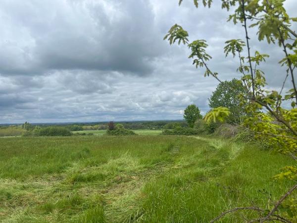 Terrain Thiviers 7410 m2