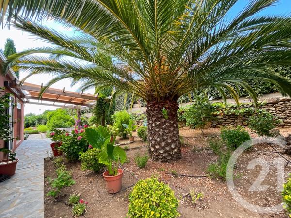 Maison à vendre  6 pièces - 156,29 m2 OLETTA - 202