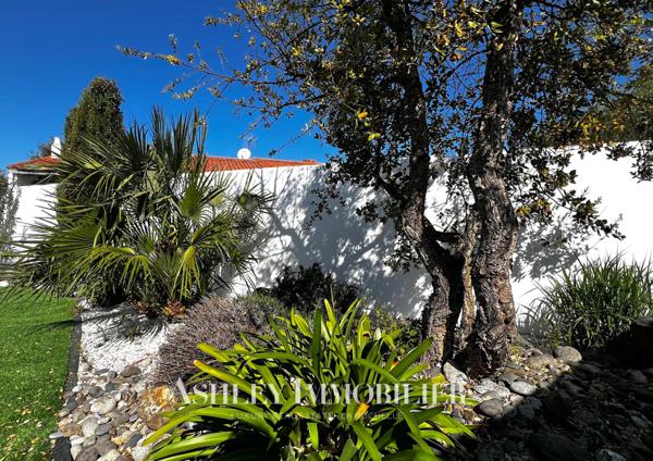 A VENDRE MAISON- ILE DE RÉ - SAINT MARTIN DE RÉ