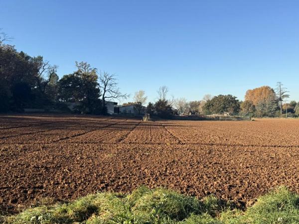 Appartement T1 en rez-de-jardin ? Aix-en-Provence (Les Milles)