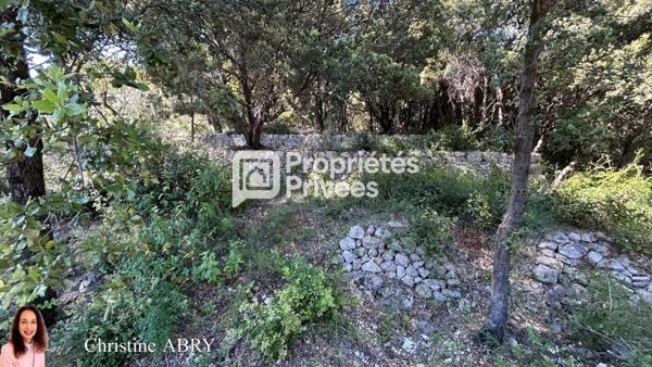 Terrain 2020 m2  Bargemon