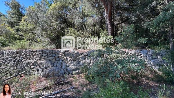 Terrain 2020 m2  Bargemon