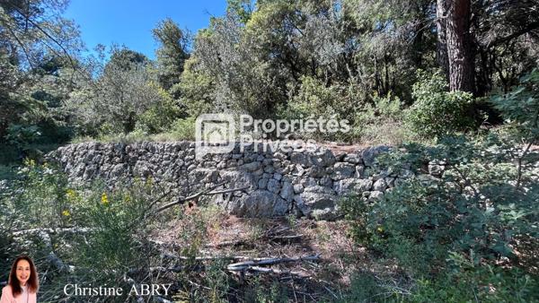 Terrain 2020 m2  Bargemon