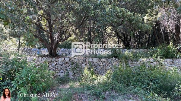 Terrain 2020 m2  Bargemon