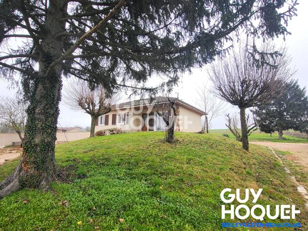 Maison à louer - 7 pièces à Saint Didier sur Chalaronne