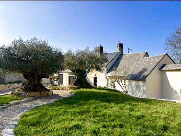 Saint-Éloy-de-Gy (18110) Charmante Longère Rénovée 160 m² habitables jardin paysagé de 1 300 m²