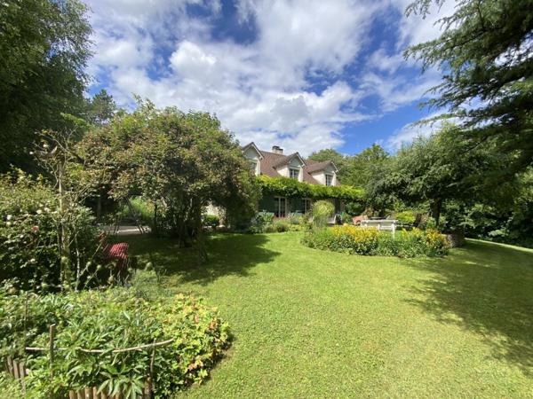 Environnement enchanteur