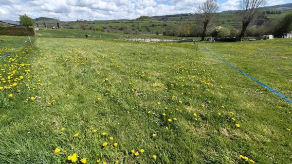 Vente / Terrain constructible