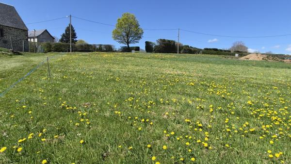 Vente / Terrain constructible