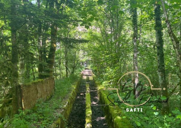 Bâtiment Industriel avec 16 000 m² de Terrain Constructible en Zone Industrielle