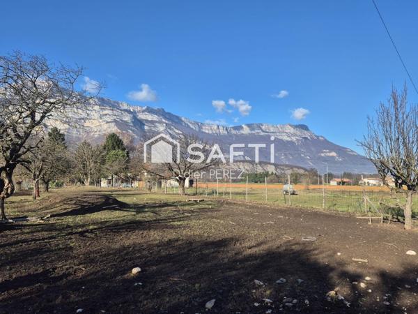 Maison rénovée avec grand terrain et dépendances