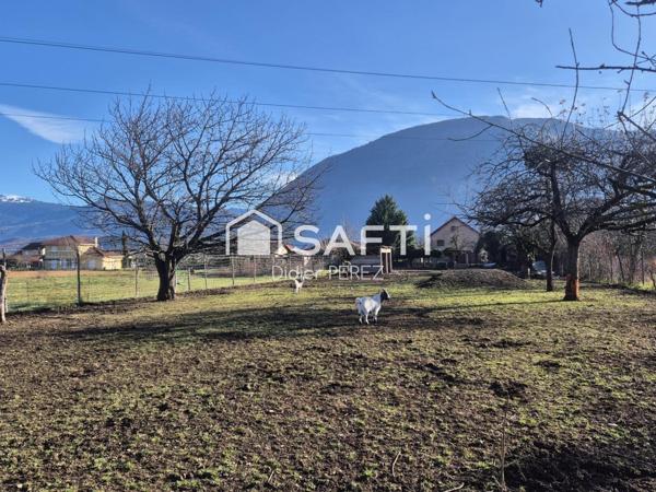 Maison rénovée avec grand terrain et dépendances