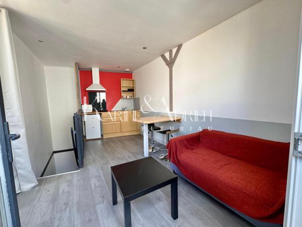 Maison de ville avec cour, terrasse et 2 studios