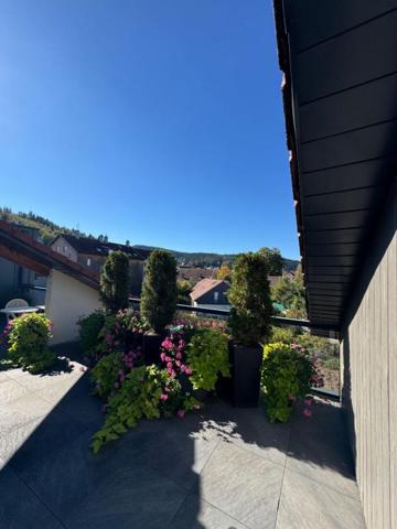Appartement T4 Toit terrasse de 112 m2 à Gérardmer