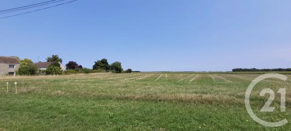 Terrain à vendre  4850 m 2   LOUZOUER  - 45