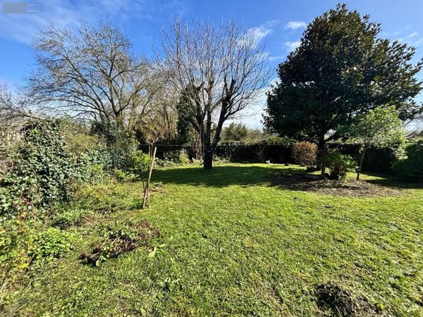 Achat - Maison Chinon 37500 6 pièces 175 m 2 1095 m 2