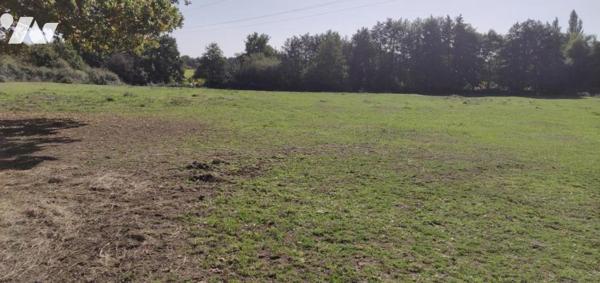 TERRAIN CONSTRUCTIBLE PONTCHATEAU