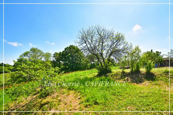 Propriété de charme à vendre 8 pièces proche de NOGARO (32) 240 m2 habitables implantée sur 9 HECTARES de terrain SANS VIS-A-VIS, CAMPAGNE GERSOISE