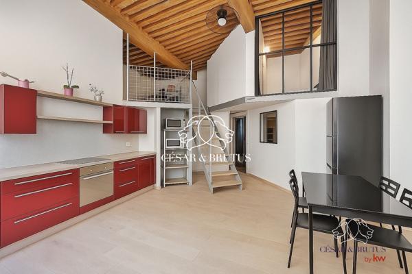 Magnifique DUPLEX de 3 pièces (70 m² habitable) Lyon 1er
