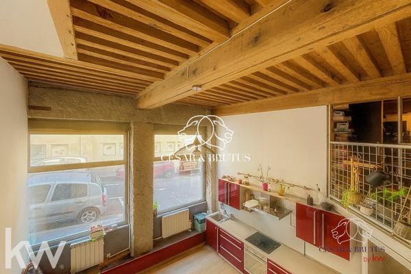 Magnifique DUPLEX de 3 pièces (70 m² habitable) Lyon 1er
