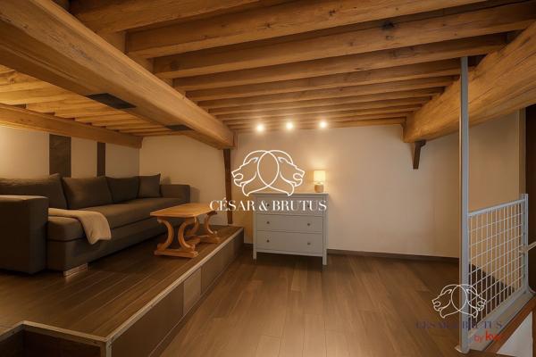 Magnifique DUPLEX de 3 pièces (70 m² habitable) Lyon 1er