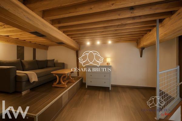 Magnifique DUPLEX de 3 pièces (70 m² habitable) Lyon 1er
