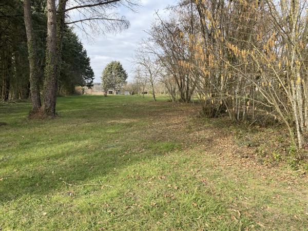 Terrain à bâtir MIGNALOUX-BEAUVOIR Mignaloux-Beauvoir (86550)