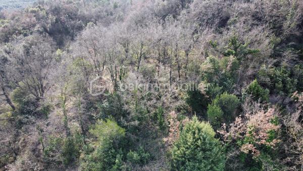 Immeuble mixte de 274 m²