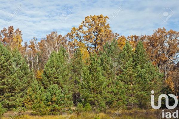 Terrain à vendre 15 073 m² Salles