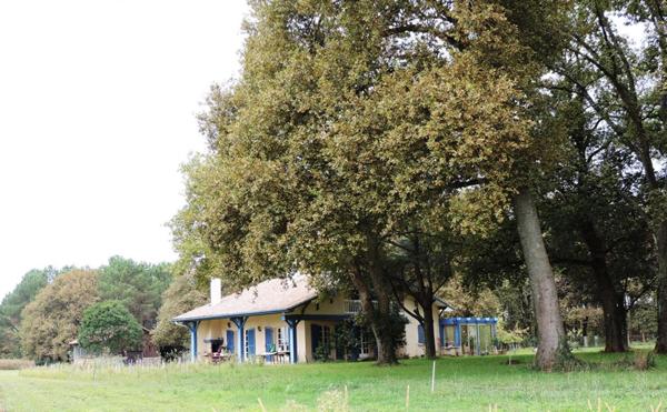 Posée sur airial, landaise avec grange et spa