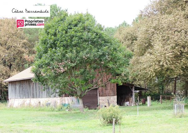 Posée sur airial, landaise avec grange et spa
