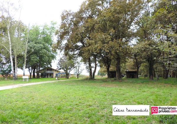 Posée sur airial, landaise avec grange et spa