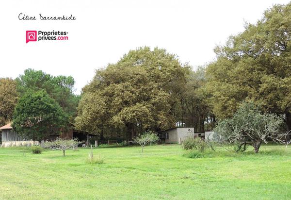 Posée sur airial, landaise avec grange et spa