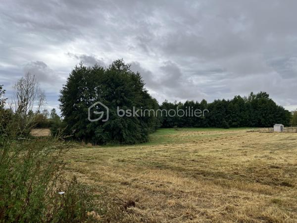 Au cœur de la commune recherchée de Raveau, découvrez ce terrain de 1 000m², idéal pour concrétiser votre projet de construction dans un environnement calme et verdoyant.

La parcelle bénéficie d'un zonage mixte offrant un parfait équilibre (cf photo) :
- Partie avant en Zone UB (constructible) : zone dédiée à l'implantation de votre maison individuelle et de ses aménagements.  
- Fond de parcelle en Zone N (naturelle) : l'assurance de profiter d'un grand jardin au calme, préservé de toute construction ultérieure à l'arrière.  
Le terrain est vendu libre de tout constructeur et libre d'occupation.

Caractéristiques techniques & urbanisme : 
- Superficie : 1 000m²
- Zonage PLU : Zone UB (constructible) + Zone N (naturelle)  
- Configuration : Terrain borné, hors lotissement  
- Urbanisme : Certificat d'Urbanisme disponible
- Viabilisation : Non viabilisé, mais réseaux prêts en façade (eau potable, électricité et assainissement collectif)
- Servitudes : Aucune servitude connue
- Sols/Risques : Zone en aléa faible pour le retrait-gonflement des argiles (étude de sol G1 non obligatoire)