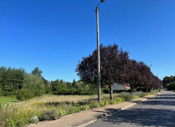 Terrain à vendre    Presles-et-Thierny