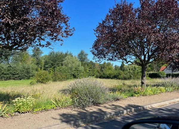 Terrain à vendre    Presles-et-Thierny