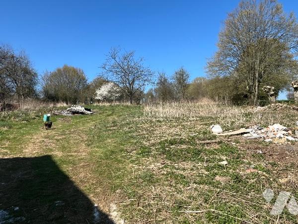Maison individuelle avec dépendances et terrain