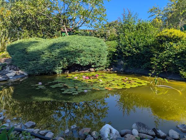 Vente / Maison avec dépendance
