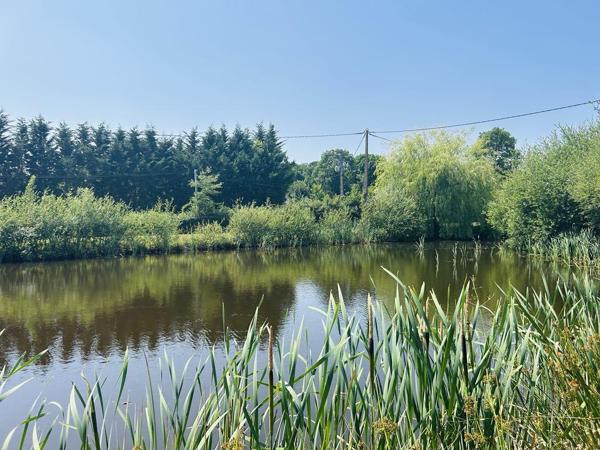 Vente / Maison en pierre