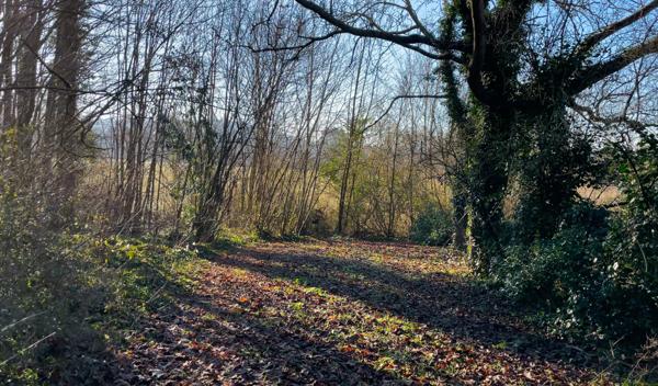 Compiègne (60200) Terrain constructible