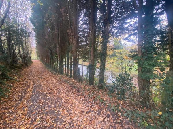 Superbe terrain de loisirs de près de 3000m 2 près de st omer