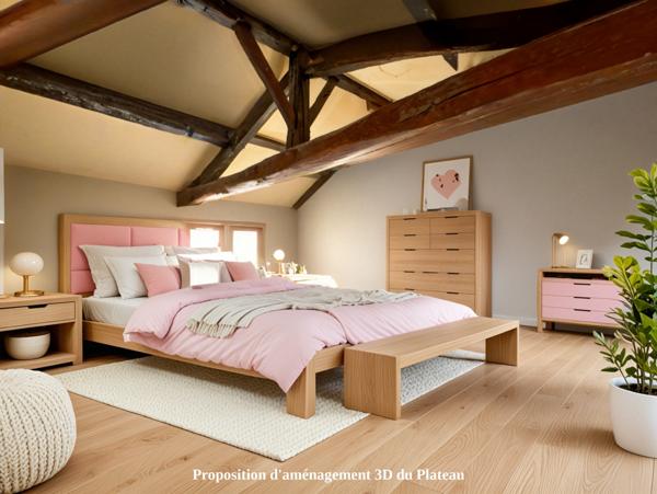 Trévoux (01600) Plateau Duplex avec Jardin à Aménager - Hyper Centre Village