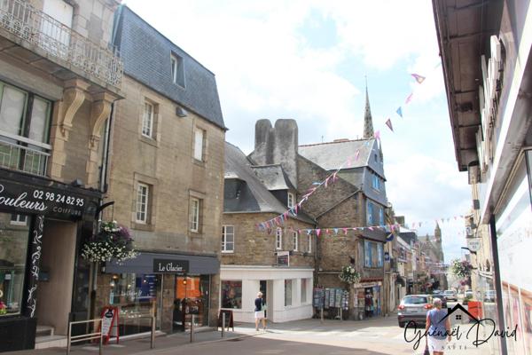 IMMEUBLE COMMERCE ET APPARTEMENT TRIPLEX