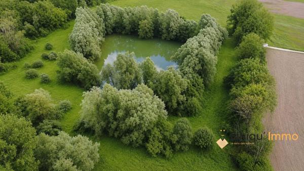 Votre coin de paradis halieutique — plan d'eau de 7 000 m² à Jaucourt