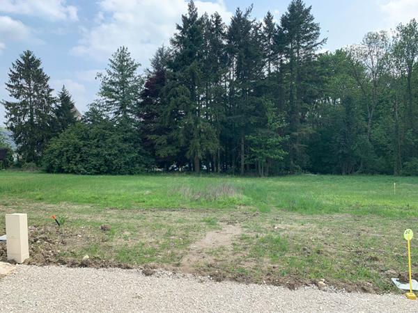 Lot de 6 terrains viabilisés à Saint Bohaire